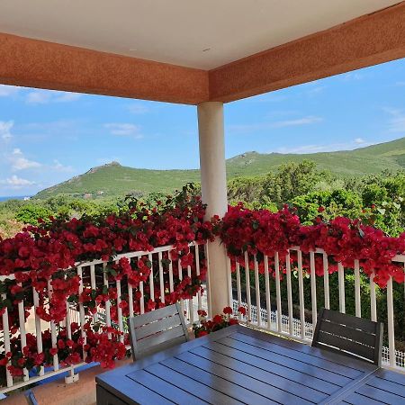 Cap Corse Villa Vue Mer Et Montagne Pietracorbara Eksteriør bilde