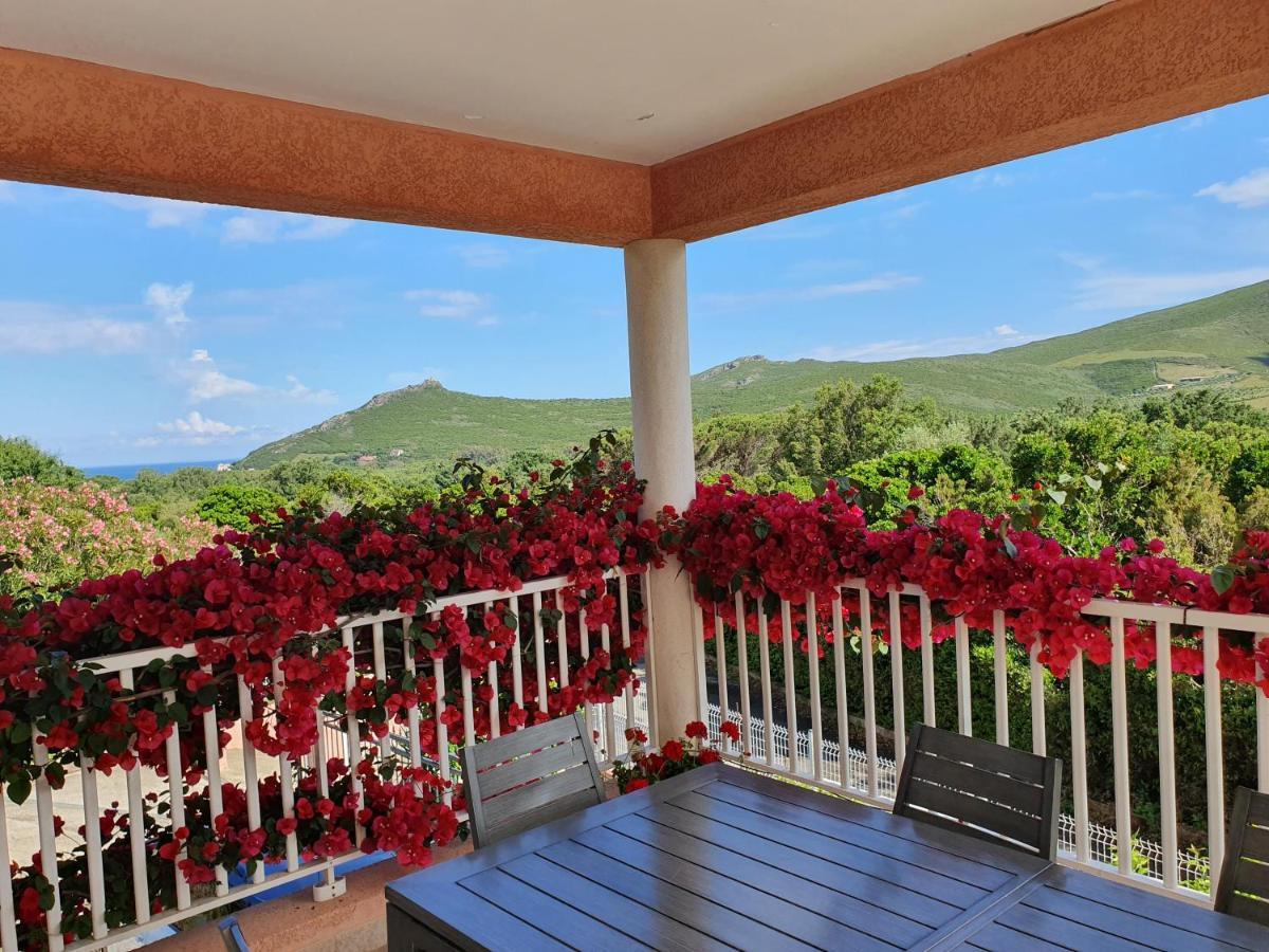 Cap Corse Villa Vue Mer Et Montagne Pietracorbara Eksteriør bilde