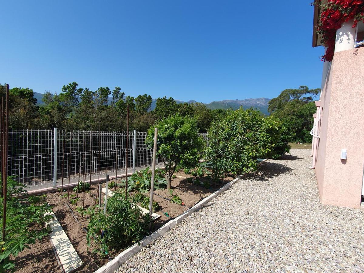 Cap Corse Villa Vue Mer Et Montagne Pietracorbara Eksteriør bilde